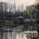 성화공원 | 중국 청도 가족여행 《칭다오 올림픽 조각 문화공원》 먹어야할 음식 추천 맛집