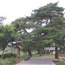 마애선사유적전시관 이미지