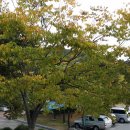 야외족구장 이미지