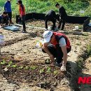 행복농장 뉴시스