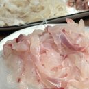 다림 | 통영중앙시장 활어시장 자연산 회포장 믿고 사는 곳 다림수산 솔직후기 (다금바리 붉바리 능성어)