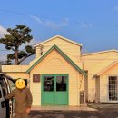 백사한의원 | 여행 2탄 (소낭게스트하우스/아침스냅 &#39;비밀의 숲&#39;/성산항/온더버튼/밭318/서빈백사/우도머뭄/소섬바라기 )
