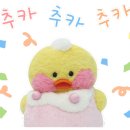 렌탈스튜디오&모임공간 팔레트 이미지
