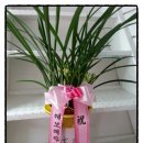 상록축산 이미지