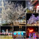 마포, 걷고싶은길 1코스 | 벚꽃 목련 저녁 산책 중 만난 봄꽃들 덕에 꽃놀이, 꽃구경 한 마포 홍대 연남 &lt;경의선숲길&gt;