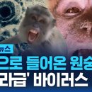 한국으로 들어온 원숭이들…&#39;에볼라급&#39; 바이러스 파장 이미지