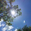 텀브커피 이미지