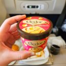 대한오토 | [발리] 왕복 대한항공 오토체크인 방법 및 일반석 플렉스 후기 (기내식, 기내물품 등)✈️