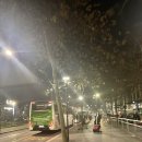 워너비어 이미지