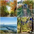 동탄대로4가길R | 걷기 일상 - 서울숲 &amp; 응봉산(서울숲남산길 1코스)