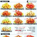 맛닭꼬송내역 네이버블로그