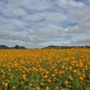 백마강생활체육공원 축구장 이미지