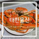 바다물산 | 노량진 수산시장 맛집 태한물산 수율 높은 대게 찜포장 후기