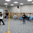 여수시이순신도서관 이미지