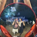 올림픽타이어 | 뷰민라2025/뷰민페2025후기/뷰티플민트라이프/페스티벌/올림픽공원/한로로/유다빈밴드/데이먼스이어