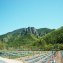 삐까뻔쩍 이미지