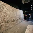 다이노피아 이미지