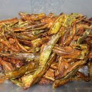 구례향기 이미지