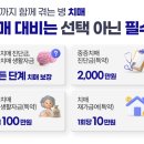 실버엠케어 | 라이나 생명 실버치매 보험, 알아야 할 모든 것