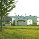 배나무민박 이미지