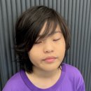 서초대로26길 19 이미지