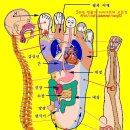 발이 편해야 건강하다~~다리의 부기와 건강을 찾아주는 마사지 이미지