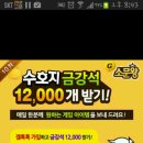 수정-117 이미지