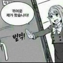 뷰티아일랜드