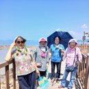소풍 - 서산시 장벌7로 48 | 소풍
