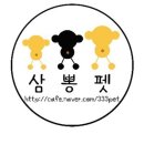 푸코펫 이미지