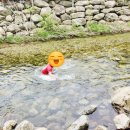 베일리코티지 이미지