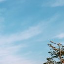 이쁜달 이미지