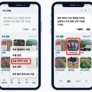 갤러리폰 이미지
