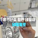네일 밀로(NAIL MILRO) | 일산 밤리단길 힙한 네일밀로