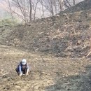 석태농장 네이버블로그