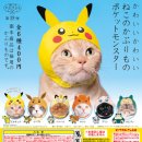 고양이 모자 이미지