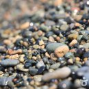 강동몽돌해변 이미지