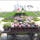 보리광장 이미지