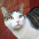 메종동물병원 이미지