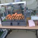 해미상가 2층 이미지