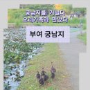 능수버들공원 화장실 이미지