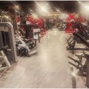 (CS)휘트니스 | 호계동헬스장 고민 끝, 호계동PT 제대로 받으면서 느낀 현실 후기 (CS휘트니스 안양호계점)