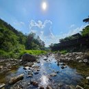 날망집 | 전북 무주 카페 날망 다녀왔어요 🍃 계곡 옆 3000평 대형 감성 카페