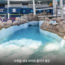 터미널게임장 | 롯데리조트 속초 워터파크 찜질방 조식 수영장 가격 할인 후기 총정리