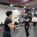 동탄센트럴복싱짐 이미지