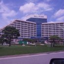 비고리조트 19 이미지