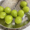 현일농장 | 1 (공모주청약, 엔켐, 치즈그린어니언브레드, 농장갈비, 카카오페이상장, 광안리PT, 트렌드핏, 다이어트...