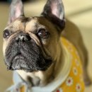 멍린이 대공원 이미지