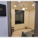 펫로스 케어 이미지