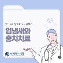 연세하이치과의원 이미지